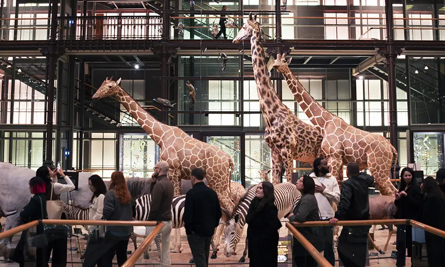 Kering celebra a biodiversidade na primeira edição da sua “Noite no Museu” – LUXURY LIFESTYLE MAGAZINE